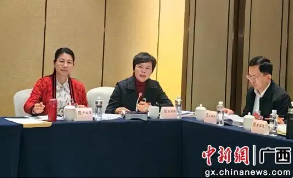 广西政协常委吕剑枫：加快推动低空经济高质量发展