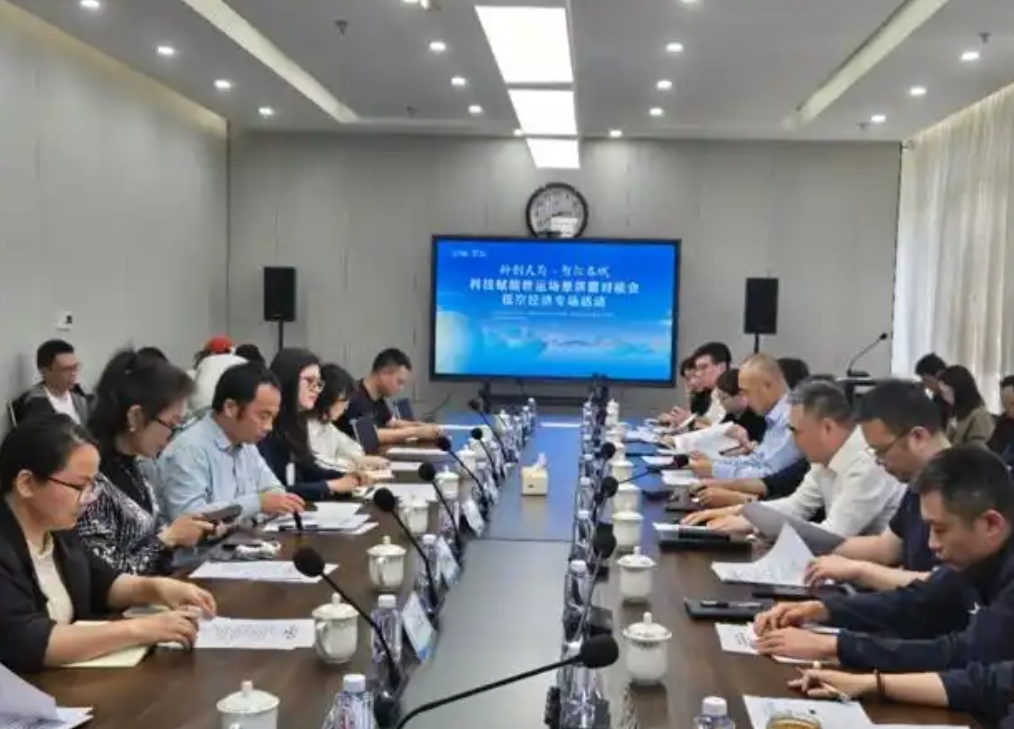 低空经济，如何“炫动”成都世运会